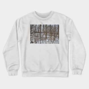 Escarpment snow fall Crewneck Sweatshirt